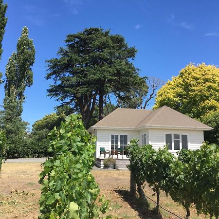 Tuki Vineyard Cottage แฮฟล็อค นอร์ท ภายนอก รูปภาพ